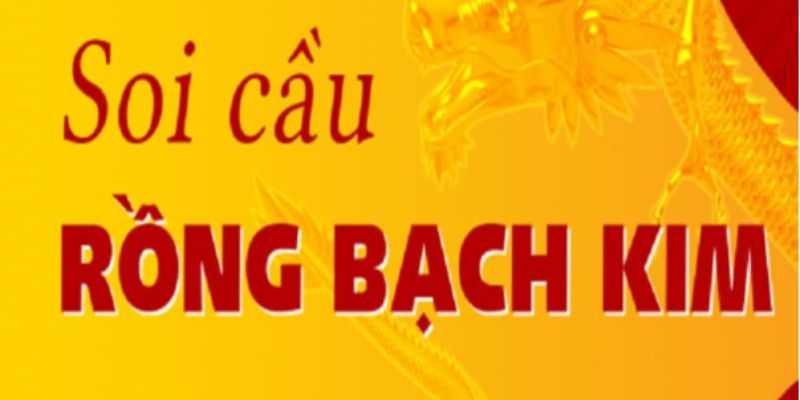 soi cầu rồng bạch kim